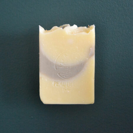 porte savon mur vert